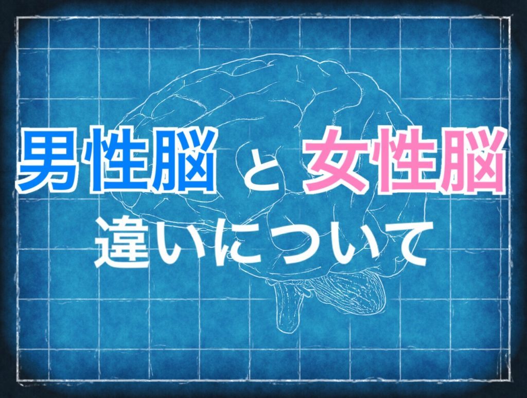 男性脳と女性脳の違いは それぞれの特徴や恋愛観まとめてみた きっとみつかるカフェ 関西の学生取材型情報サイト